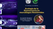 Congreso sobre murciélagos Congreso sobre murciélagos