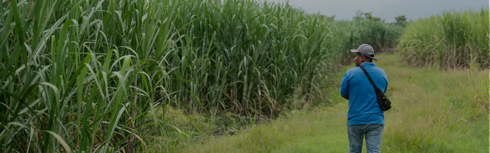 Desarrollo Rural y Ordenamiento Territorial