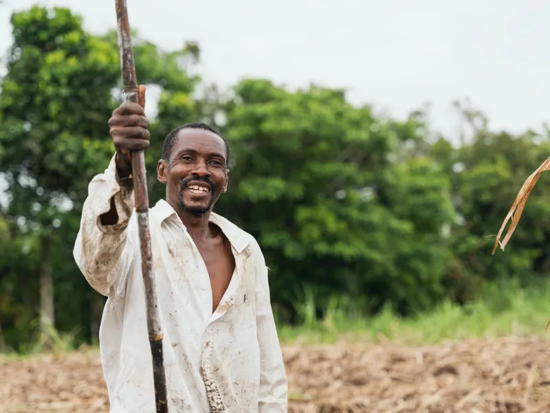 fortalecer las economías propias